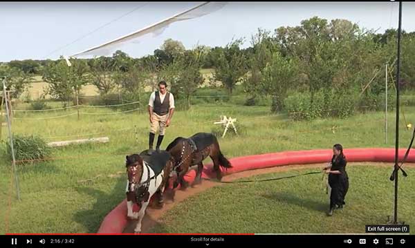 Carcini-Bareback-Horse-Riders