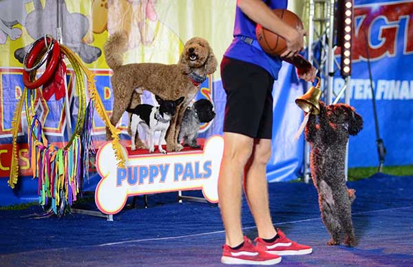 Puppy-Pals-Show
